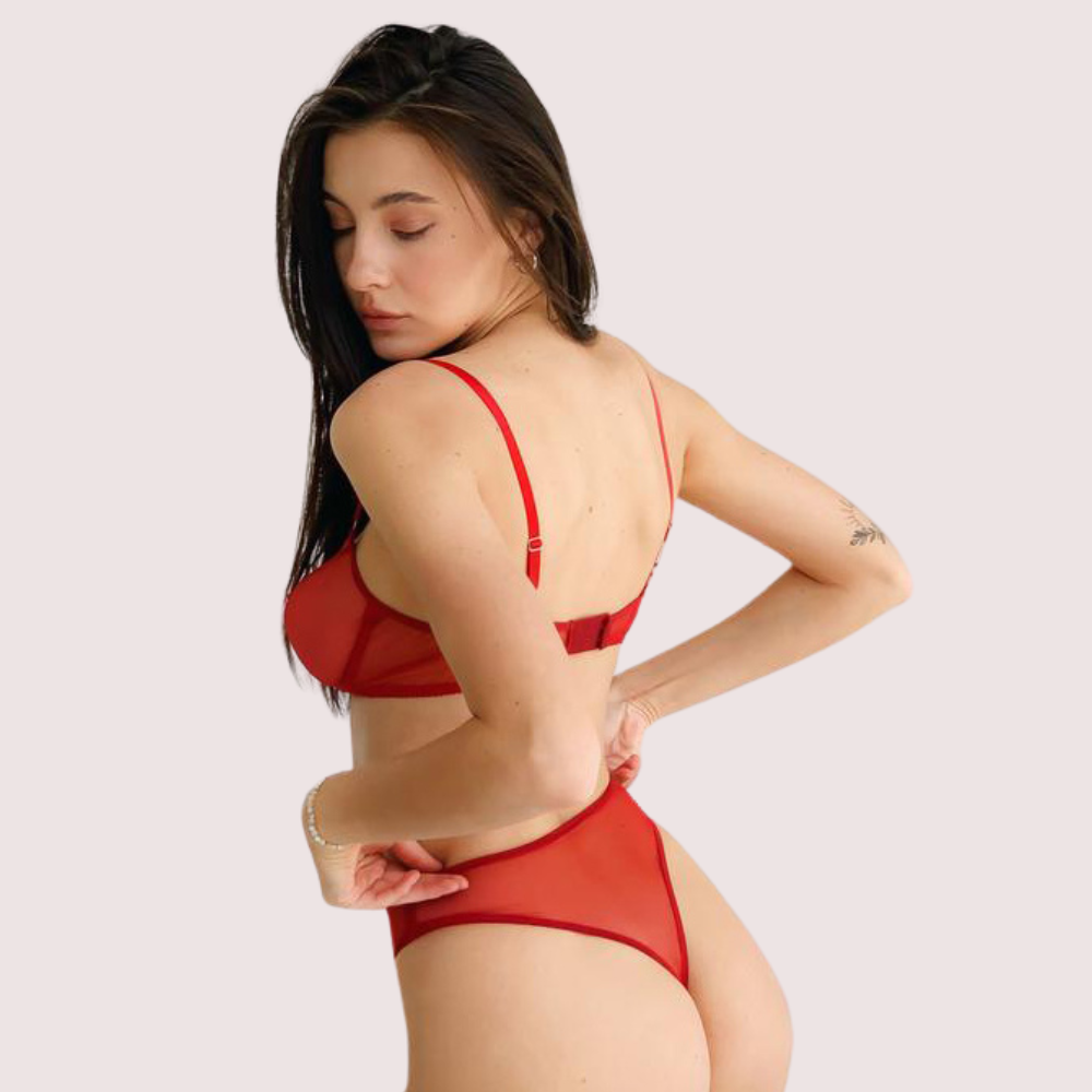 Scarlet Temptation See-Through Lingerie Set